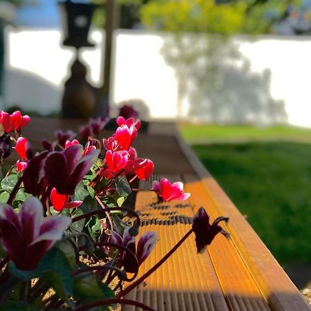 Onehunga Garden Tinyhouse With Parking Hotel Auckland Eksteriør billede
