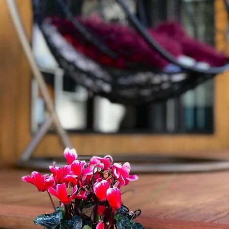Onehunga Garden Tinyhouse With Parking Hotel Auckland Eksteriør billede