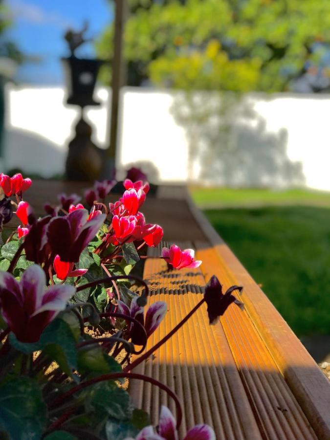 Onehunga Garden Tinyhouse With Parking Hotel Auckland Eksteriør billede